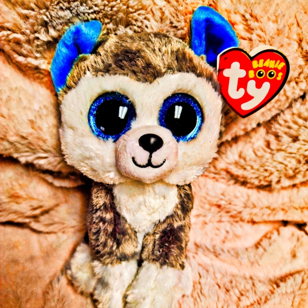 Beanie Boo's dog